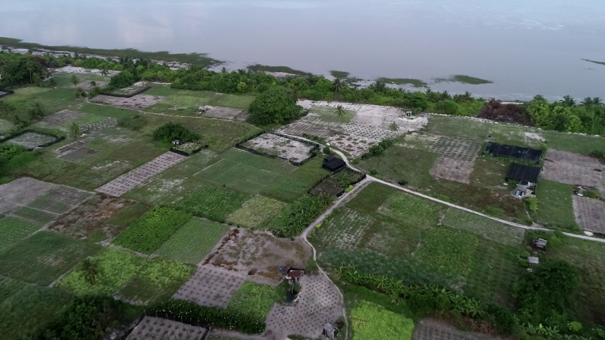 ގޮއިދޫގައި ކެންސަރު އިތުރުވާ ސަބަބު ހޯދަން އެމްއެފްޑީއޭއިން ދިރާސާތައް ފަށައިފި