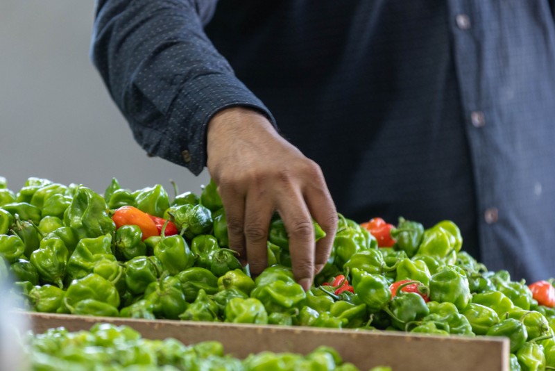 ފަހު 10 އަށް އެޅިއިރު މިރުހުގެ އަގު ދަށްވެއްޖެ