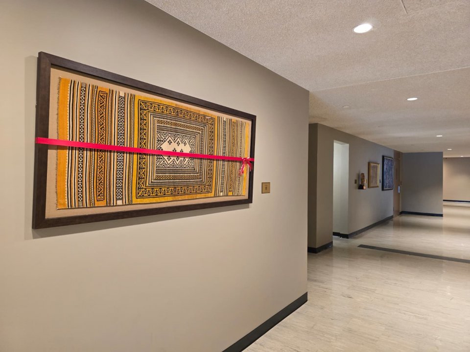 ރާއްޖޭގެ ތުނޑުކުނަލެއް އދ.ގެ މައި މަރުކަޒުގައި