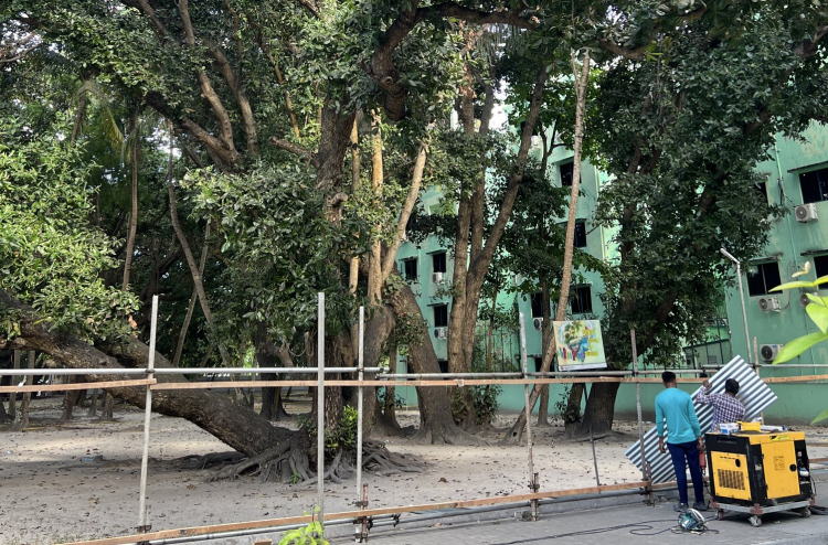 ފުނަގަސް ކަނޑަން ޖެހޭތީ، ވިލިމާލޭގައި އަޅާ އެއް ޓަވަރު އެހެން ސަރަހައްދަކަށް ބަދަލުކުރަނީ