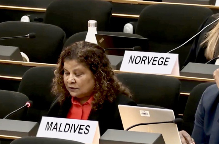 ފޮރިން މިނިސްޓްރީގެ "މަސައްކަތްތަކަކަށް" ސަލްމާ ރާއްޖެ ގެންނަނީ!