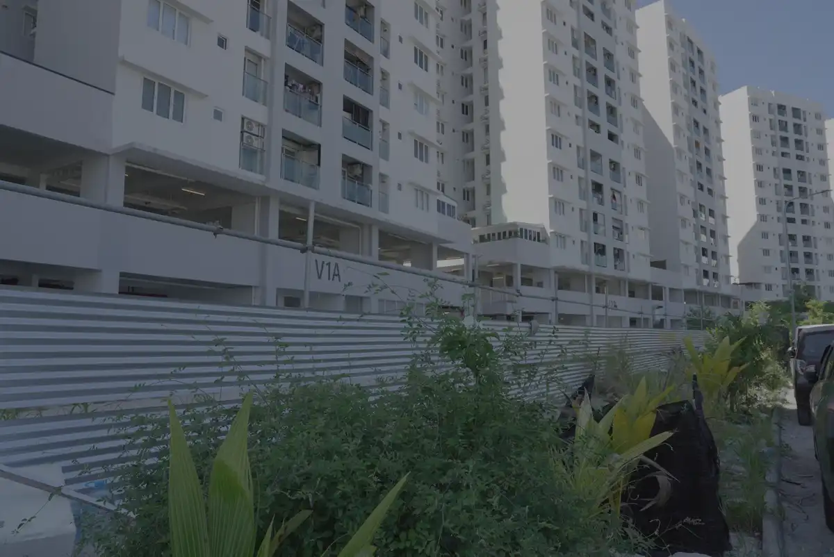 ވިނަރެސް ކުރިމަތީގައި އޮންނަ ހުސް ބިން. މިސަރަހައްދަށް އެކި ޒާތްޒާތުގެ ކުނިތައް އަޅާފައިވޭ.