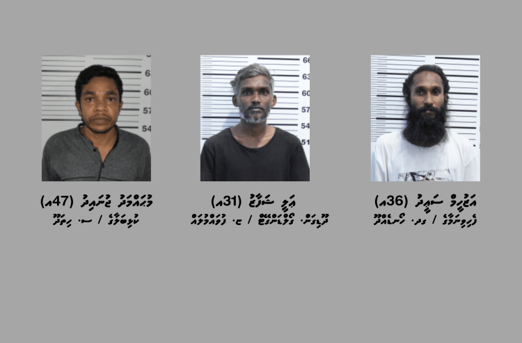 ސްކޭމްކޮށްގެން ފައިސާ ހޯދި މައްސަލަތަކަކާ ގުޅިގެން ތިން މީހަކު ހައްޔަރުކޮށްފި