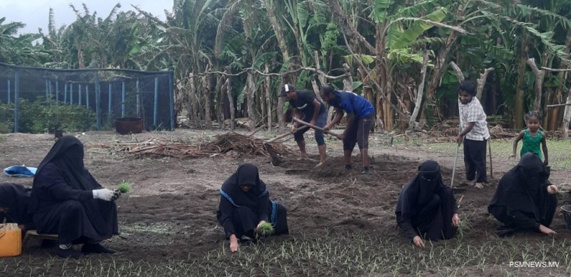 ވައިކަރަދޫ ދަނޑުވެރިންގެ އުފެއްދުންތައް ކުޅުދުއްފުއްޓަށް އުފުލަން ޚާއްޞަ ފެރީއެއް