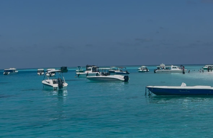 ފުލިދޫގައި އޮޔާ ދިޔަ ދެ ކުއްޖަކު ސަލާމަތްކުރަން އުޅުނު މީހަކު ނިޔާވެއްޖެ