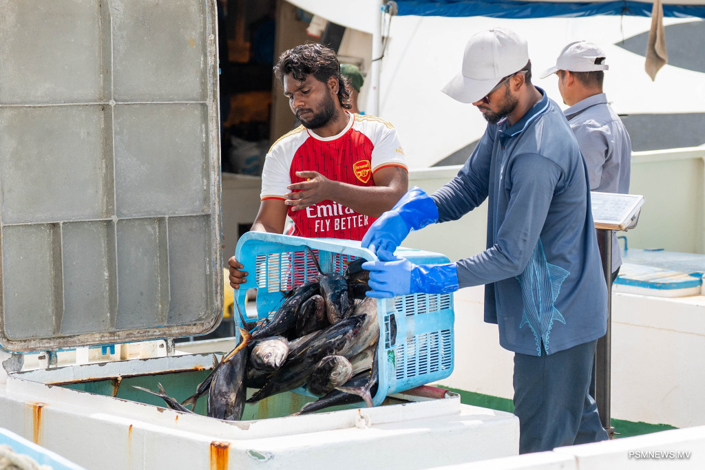 ފުރަތަމަ ކުއާޓަރުގައި މަސްވެރިންނަށް 88.8 މިލިޔަން ރުފިޔާ