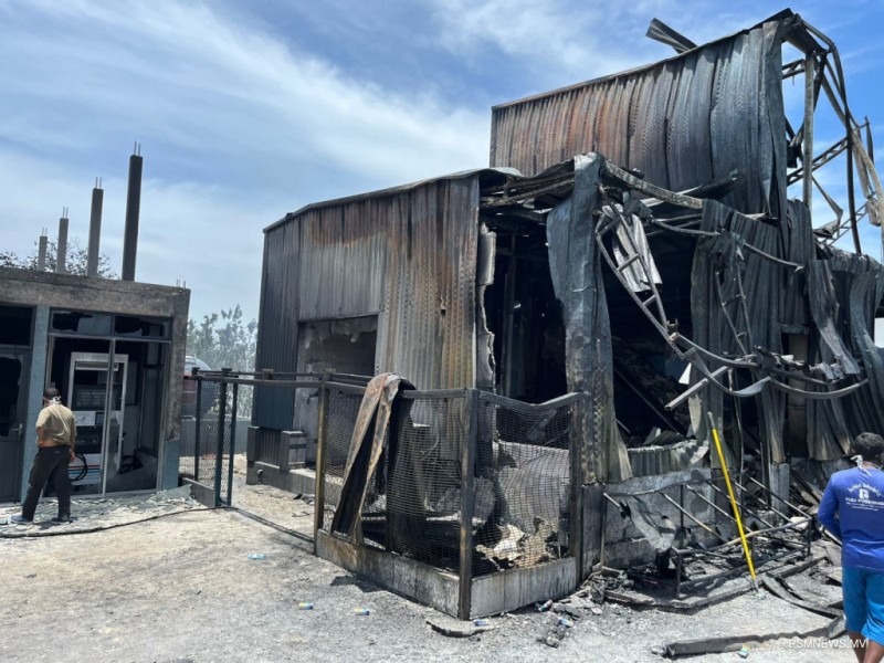 އަލިފާނުގެ ހާދިސާގައި ފީއަލީ އައިސް ޕްލާންޓް އަނދައިފި