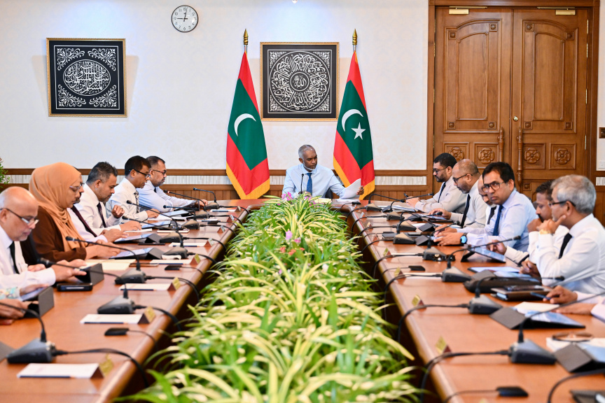 ދައުރު މެދު ތެރެއިން، ޑރ މުއިއްޒަށް ނާކާމިޔާބުވި ސަބަބުތައް (1)