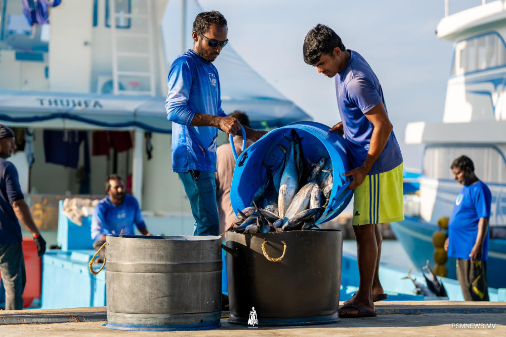 ސީފުޑް ވޮޗުގެ ޚާއްޞަ ރޭޓިން ރާއްޖެއަށް: މަސްވެރިކަމަށް ލިބުނު ބޮޑު ފަޚުރެއް!