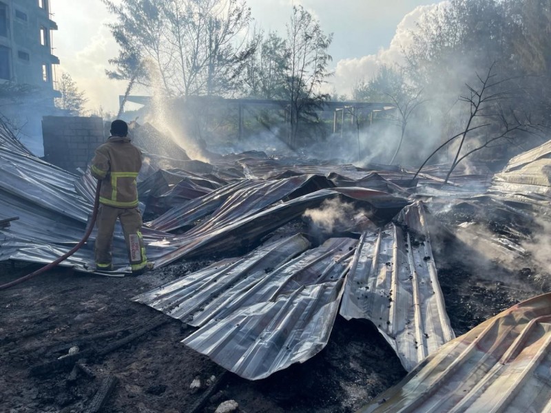 ހުޅުމާލޭގެ ވޯޓާ ޕާކް ތެރޭގައި ރޯވި އަލިފާން ނިއްވާލައިފި