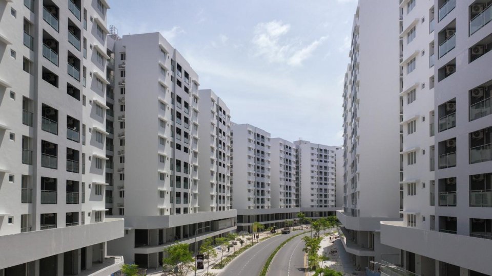 އެއްމެދު އިމާރާތްތަކުގެ މެނޭޖްމަންޓް ކޯޕަރޭޝަންތައް އުފެއްދުމުގެ މަސައްކަތް ފަށައިފި