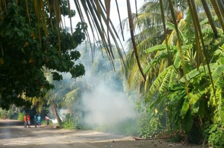 މިދިޔަ މަހު ޑެންގީގެ ކޭސްތައް އާދަޔާ ހިލާފަށް ގިނަ