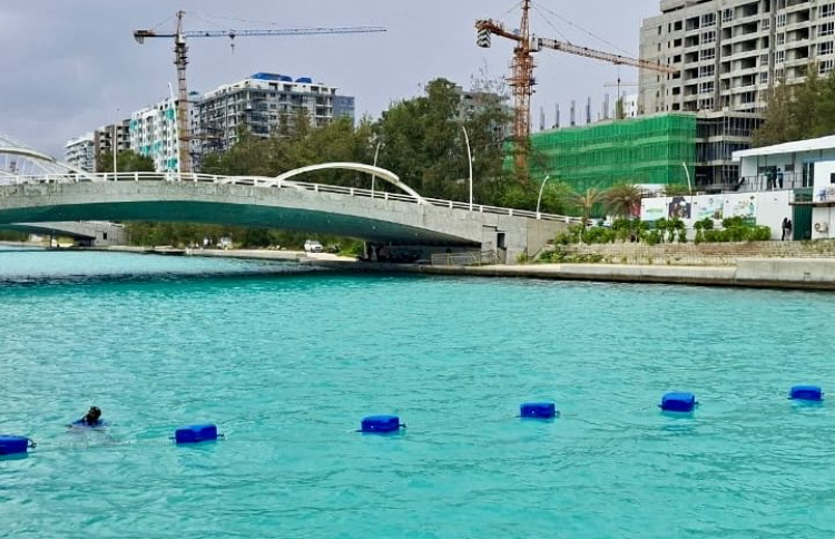 މުރަކަ އިންދުމުގެ ހަރަކާތެއް އެޗްޑީސީން ހިންގަނީ