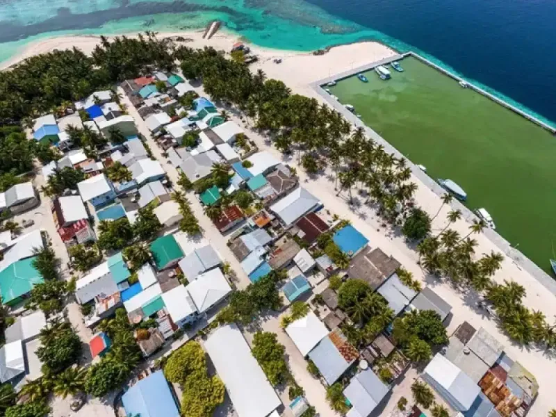 ދޮންފަނުން ސަރުކާރަށް ލިބުނު ބޮޑު ނާކާމިޔާބީގެ ހުރިހާ ރުޅިއެއް ބޭލީ ފެނަކަ އެސިސްޓެންޓް މެނޭޖަރަށް