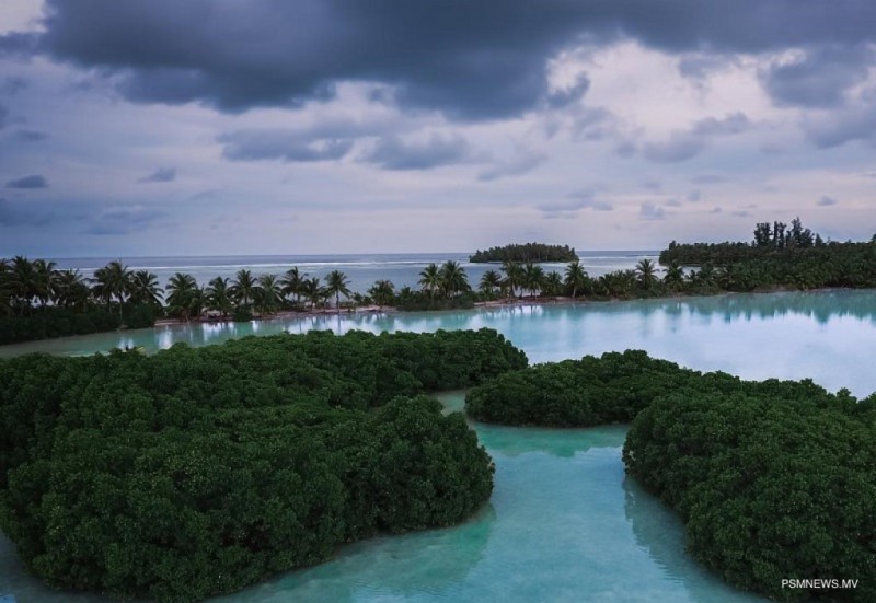 މަސް ހިފަން އުޅުމުގެ ތެރޭ، ލ. ހިތަދޫން ޒުވާނަކު މަރުވެއްޖެ