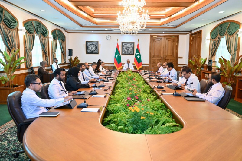 ސިޔާސީ ގަހުގައި ކައްތިރި ވިއްދުން (2)