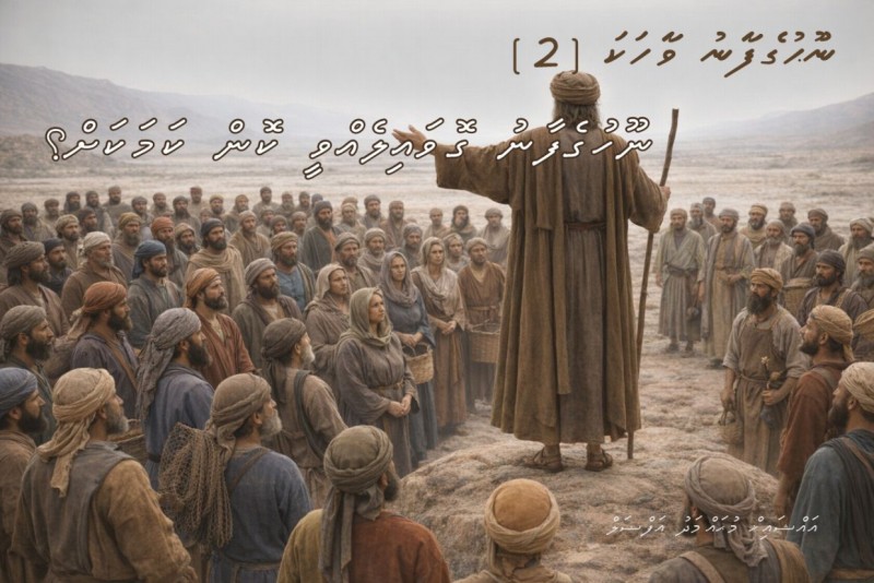 ނޫހުގެފާނު ގޮވައިލެއްވީ ކޮން ކަމަކަށް؟