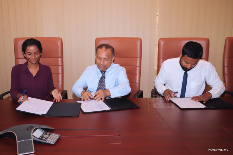 އެމްއައިބީން ފައިނުގައި ކުނި މެނޭޖްކުރުމުގެ މަޝްރޫޢެއް ފަށަނީ