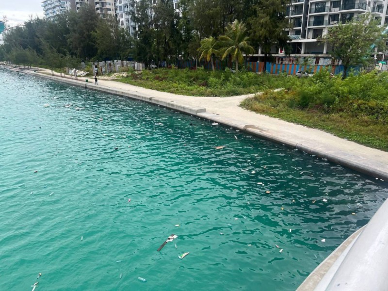 އިއްޔެ ކޯމަސް، މިއަދު ހުސް ޕްލާސްޓިކް!