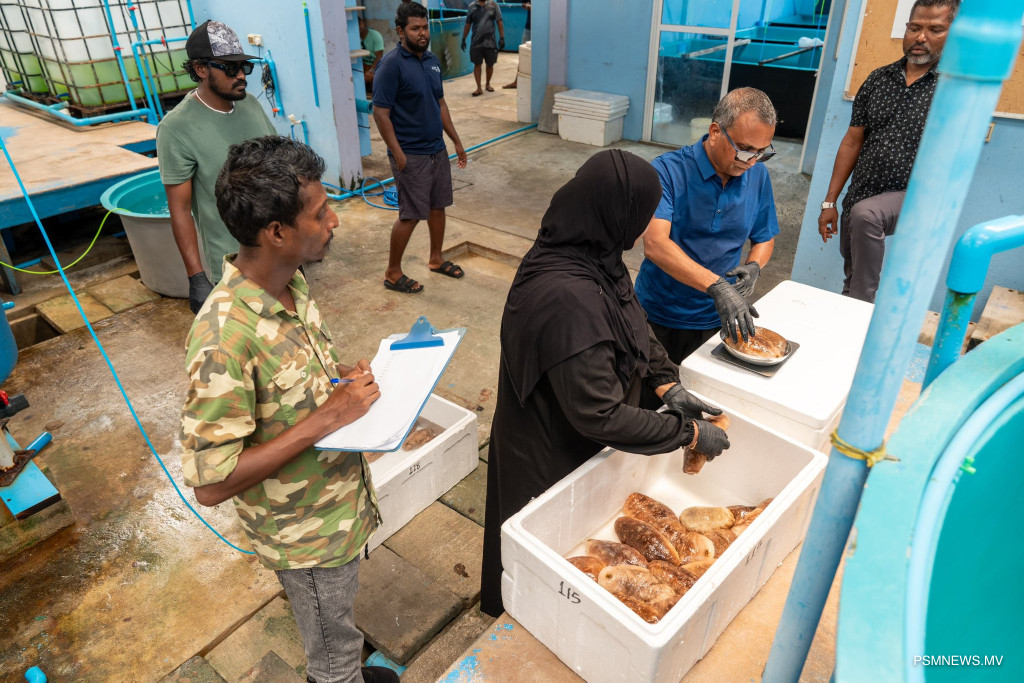 މެރިކަލްޗަރ ސްކީމްގެ ދަށުން 480،000 ރުފިޔާ ދޫކޮށްފި