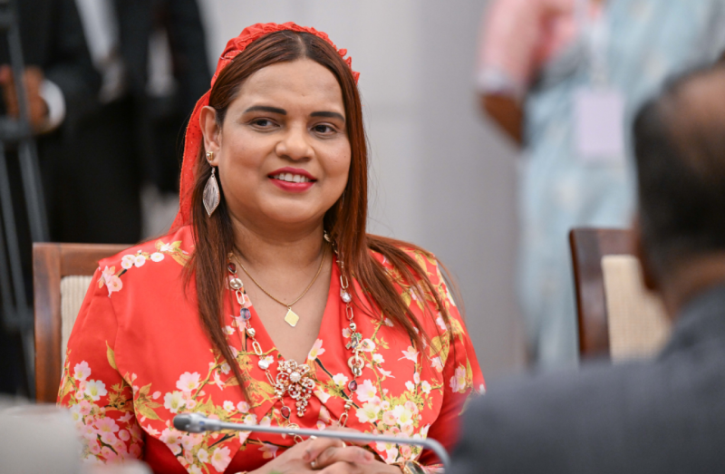 އދ ގެ އާންމު މަޖިލީހުގެ އިގްތިސޯދީ އަދި މާލީ ކޮމިޓީގެ ނައިބު މުގައްރިރަކަށް ދިވެހިރާއްޖެ