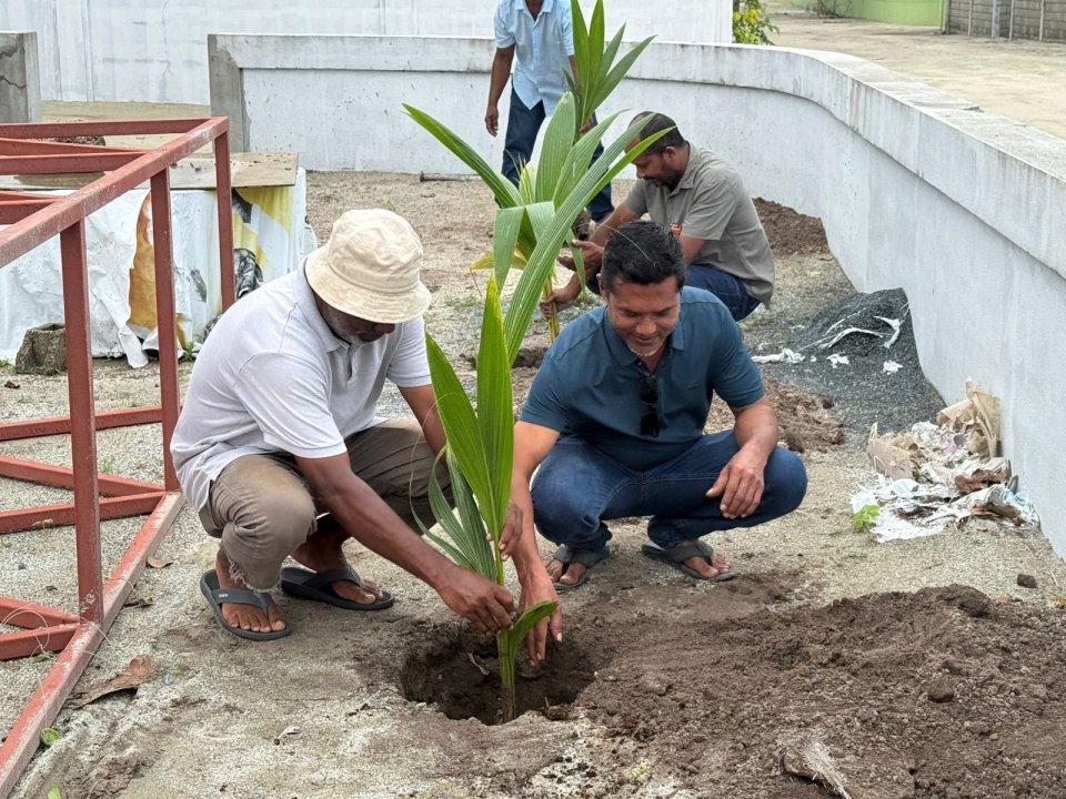 ފަސް މިލިއަން ގަސް: އިންނަމާދޫގައި ރުއް އިންދައިފި