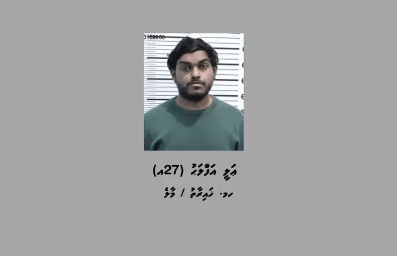 އެކިފަހަރު މަތިން ކުޑަކުއްޖަކަށް ޖިންސީގޯނާ ކުރި ކަމުގެ ތުހުމަތުގައި އަފްލަހުގެ މައްޗަށް ދައުވާކޮށްފި