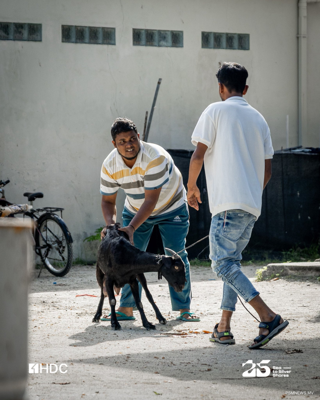 އުޟްޙިޔާ ކަތިލުން: މުސްލިމު އުންމަތުގެ ގުޅުމާއި އިޚްލާޞްތެރިކަމުގެ ރަމްޒެއް