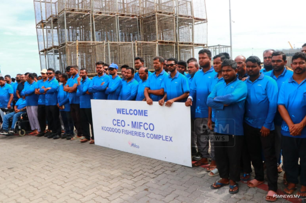 މިފްކޯ ޒަމާނީ ކުންފުންޏަކަށް ހެދުމަށް، އިޞްލާޙީ ބޮޑެތި ބަދަލުތަކެއް