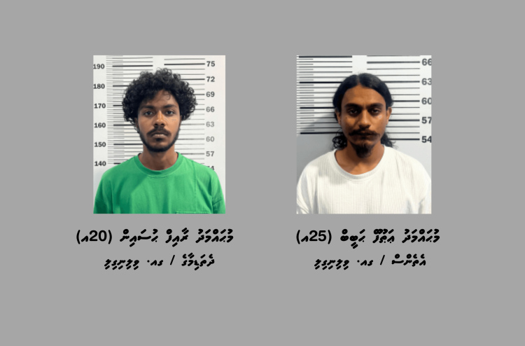 ކުޑަކުދިން ލައްވައި މަސްތުވާތަކެތި ވިއްކާ ދެ މީހަކު ވިލިނގިލިން ހައްޔަރުކޮށްފި