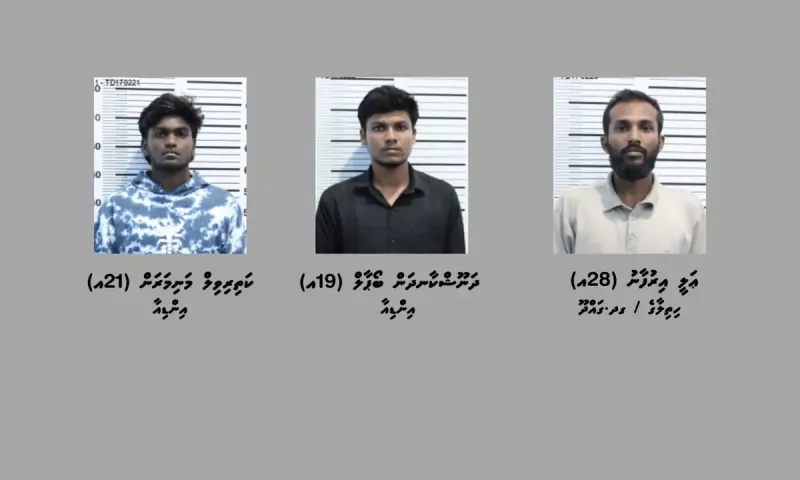 ރާއްޖެ އައީ ގުރުއަތުން ހޮވިގެން ކަމަށާއި ޑުރަގަކީ ސާމްޕަލްތަކެއް ކަމަށް ބިދޭސީއަކު ކޯޓުގައި ބުނެފި