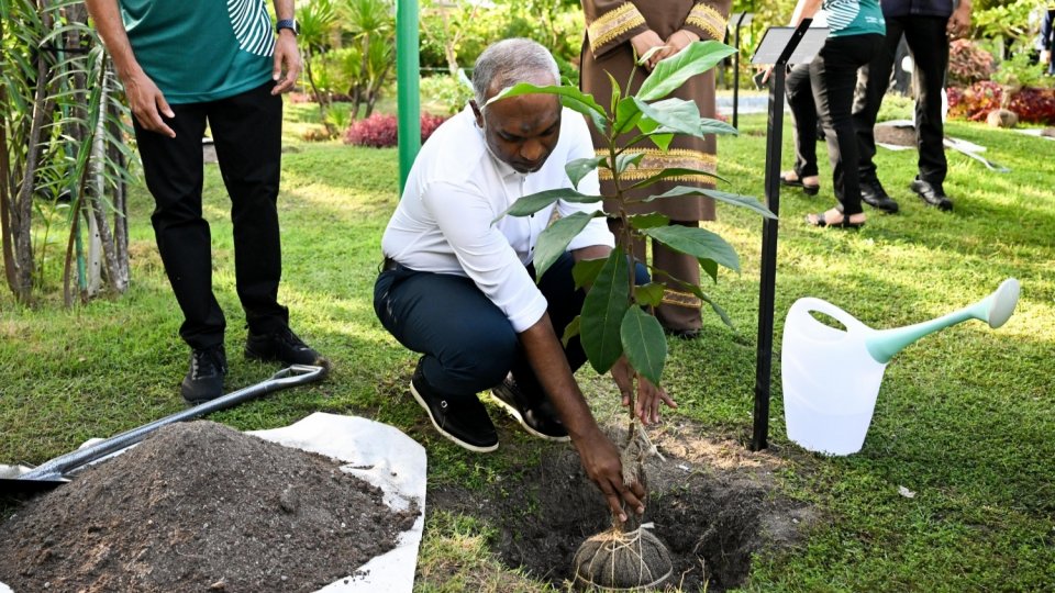 ތިމާވެށި ހިމާޔަތްކުރަން އެންމެން ގުޅިގެން މަސައްކަތް ކުރަންޖެހޭ: ރައީސް