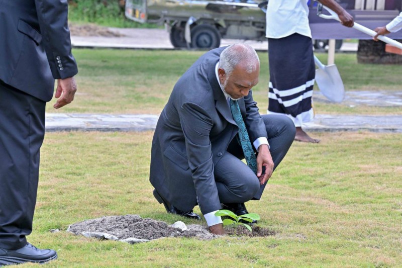 ތިމާވެށި ހިމާޔަތްކުރަން ކޮންމެ އަހަރަކު 7 މިލިއަން ރުފިޔާ ގްރީން ފަންޑުން ޚަރަދު ކުރަން ނިންމަވައިފި