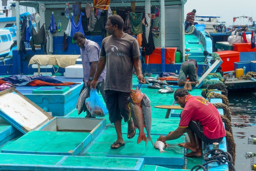 މުޅި ރާއްޖޭގައި ފަރުމަސްވެރިކަމުގެ މުބާރާތެއް ބާއްވަނީ