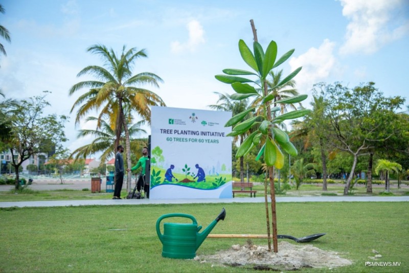 މިއަހަރުގެ އަމާޒު: 1 މިލިޔަން ގަސް