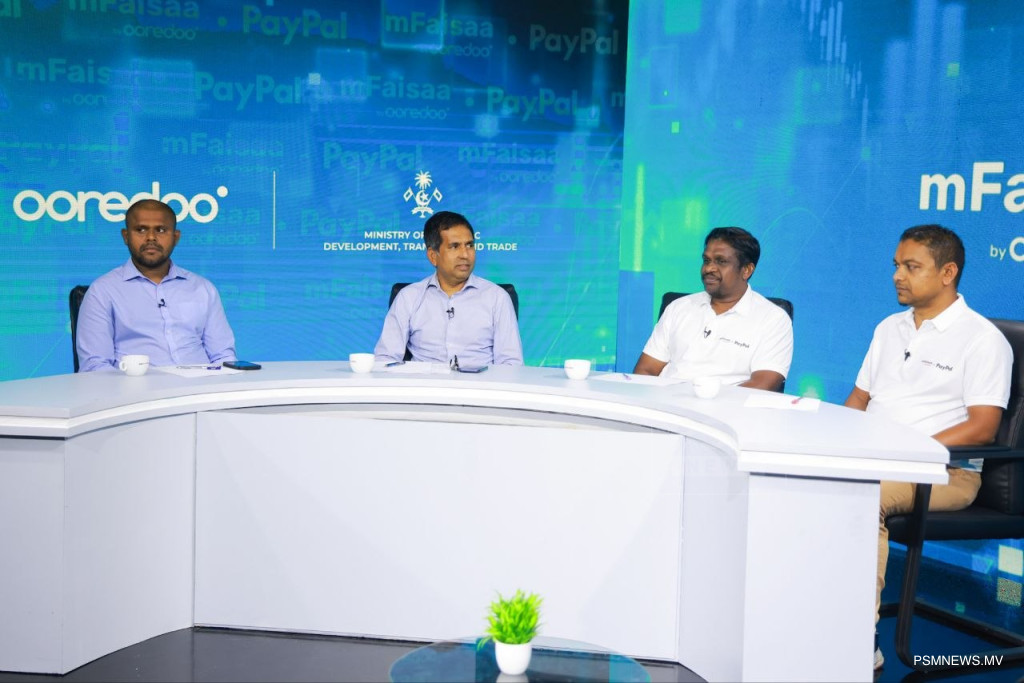 "ޕޭޕަލްފަދަ އިތުރު ޕްލެޓްފޯމްތައް ސަރުކާރުން ޒުވާނުންނަށް ގެނެސްދޭނެ"