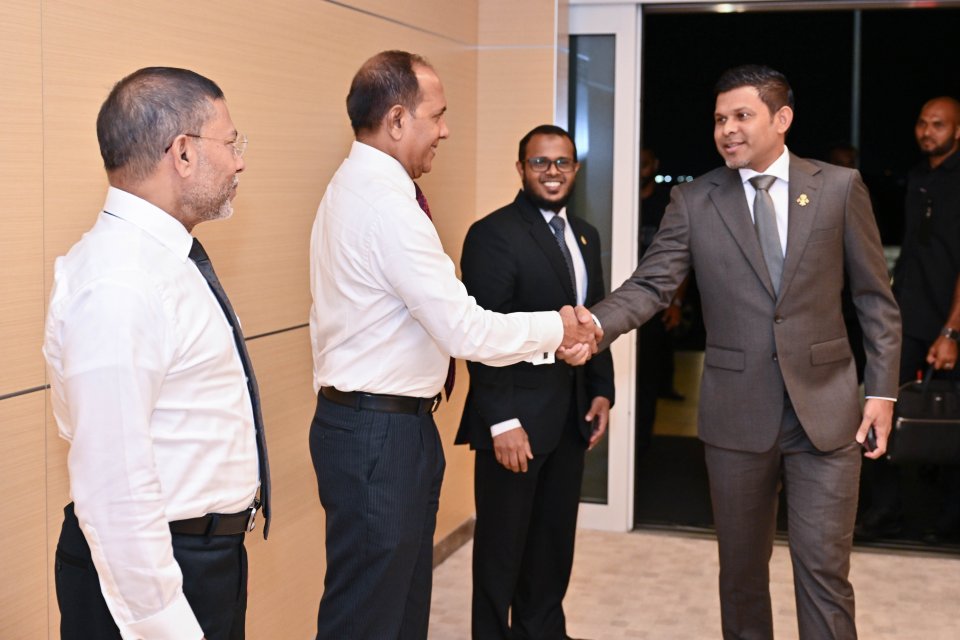 ނައިބު ރައީސް ޖަރުމަނަށް ފުރާވަޑައިގެންފި