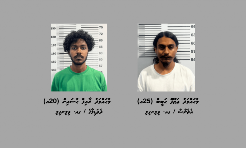ކުޑަކުދިން ލައްވައި މަސްތުވާތަކެތީގެ ވިޔަފާރިކުރުވުން: އެކަކުގެ ބަންދު އިތުރުކޮށް، އަނެއް މީހާ ދޫކޮށްލައިފި