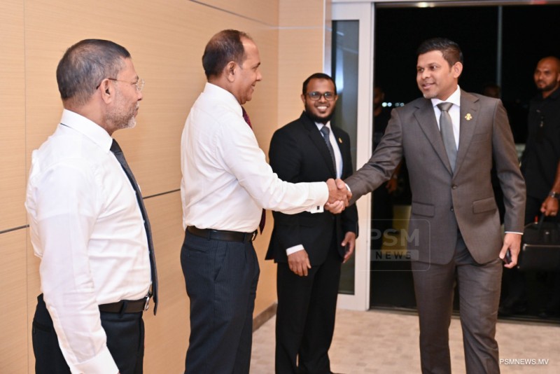 ރައީސުލްޖުމްހޫރިއްޔާގެ ނައިބު ޖަރުމަނަށް