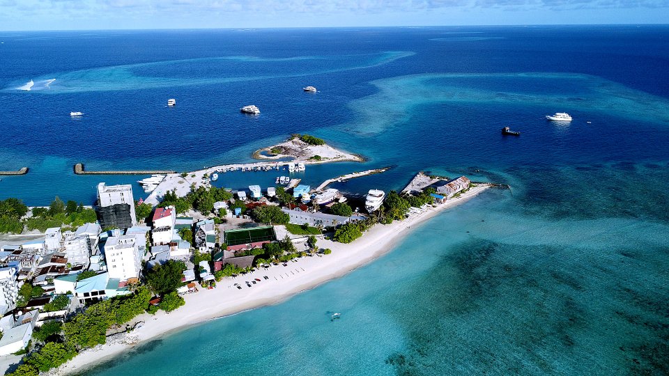 އުޅަނދެއްގެ ތަކެތި އޮޔާދާތީ އެމްއެންޑިއެފުން ސަމާލުވާން އެދިއްޖެ
