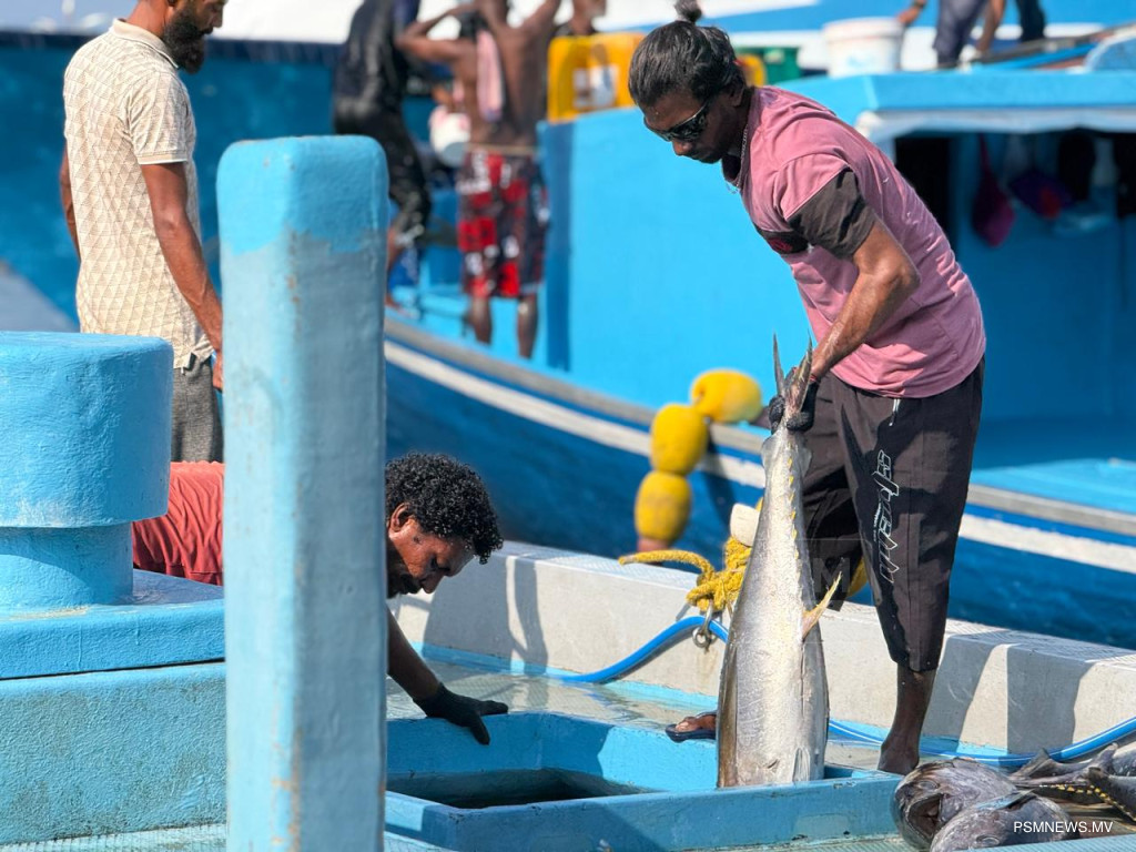 ކޯލްޑް ސްޓޯރޭޖްތަކާއެކު މަހަށް ރަނގަޅު އަގެއް ހޯދުމުގެ ފުރުޞަތު