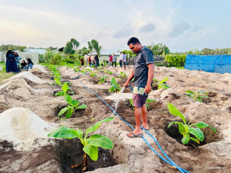 ވިލުންވެށި ގްރާންޓް، ފުރަތަމަ މަރުހަލާގައި 50 ފަރާތަކަށް ގްރާންޓް!
