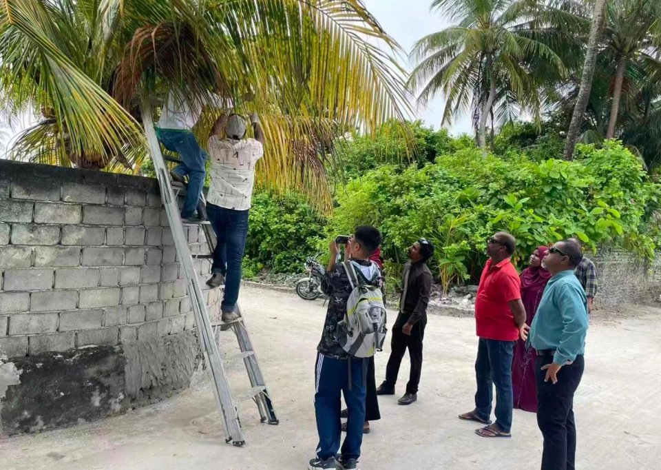ޗައިނާ އިން "ސިސްޓެމިކް ޕެސްޓިސައިޑް" ފޯރުކޮށްދީފި