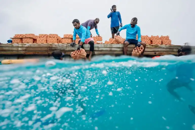 އަނަންތަރާ މޯލްޑިވްސް ރިސޯޓުން ތްރީ-ޑީ ޕްރިންޓެޑް ފަރެއް ހައްދަނީ