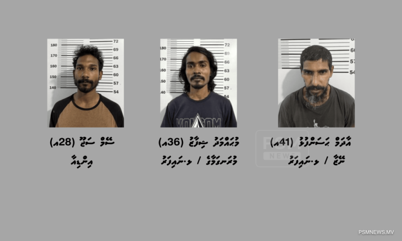 މަސްތުވާތަކެތީގެ މައްސަލައެއްގައި ނައިފަރުން 3 މީހުން ހައްޔަރުކޮށްފި