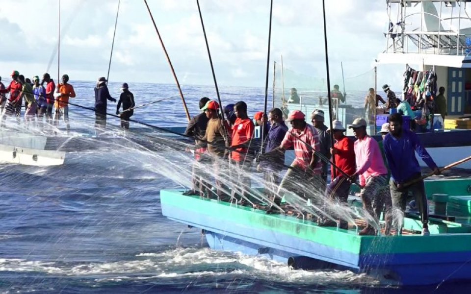 މަހުގެ އަގު ބޮޑު ކުރުމުން މަހަށް ފުރާ އޮޑިފަހަރު އިތުރު ވެއްޖެ