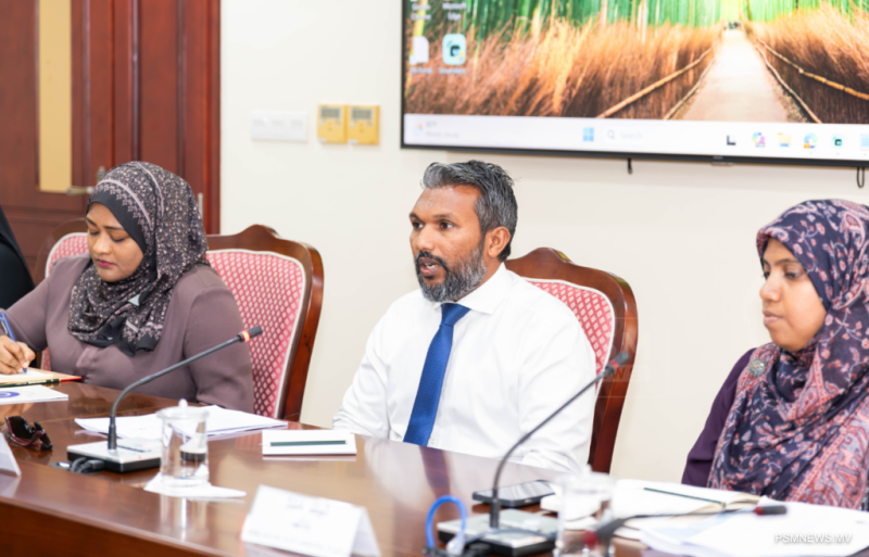 "ގެދޮރުވެރިކަމުގެ މަޝްރޫޢުތަކުގެ ދެމެހެއްޓެނިވިކަން ކުޑަވަނީ އެކި މޮޑެލްތަކަށް ހިންގާތީ"