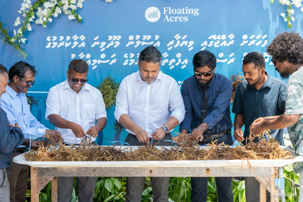 2 ކުންފުންޏަކުން މޫދުވިނަ އާލާކުރަން ފަށައިފި