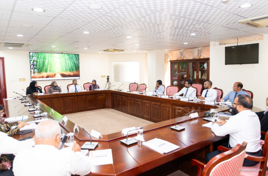 "ގެދޮރުވެރިކަމުގެ މަޝްރޫޢުތަކުގެ ދެމެހެއްޓެނިވިކަން ކުޑަވަނީ އެކި މޮޑެލްތަކަށް ހިންގާތީ"