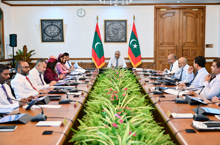 މަޝްރޫއުތައް އަވަސްކުރަން ކޮންމެ މިނިސްޓްރީއެއްގައި ހާއްސަ ޔުނިޓެއް އުފައްދަނީ